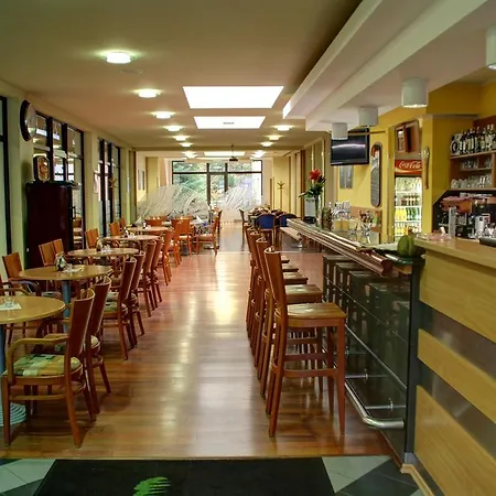 Hotel Břízky 4*
