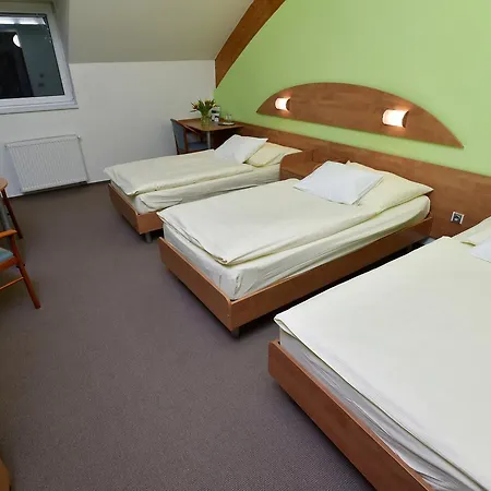 Břízky 4*