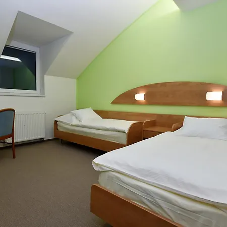Hotel Břízky 4*