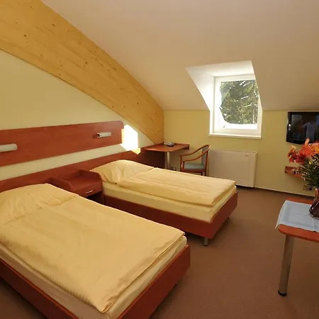 Břízky Hotel 4*