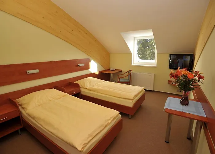Brizky Hotell 4*